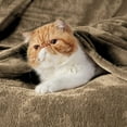 thumbnail image 7 of Cozy Comfort Fleece Blankets King Size Taupe - Soft Lightweight Plush Cozy Fuzzy, 108X90 inches, 7 of 7