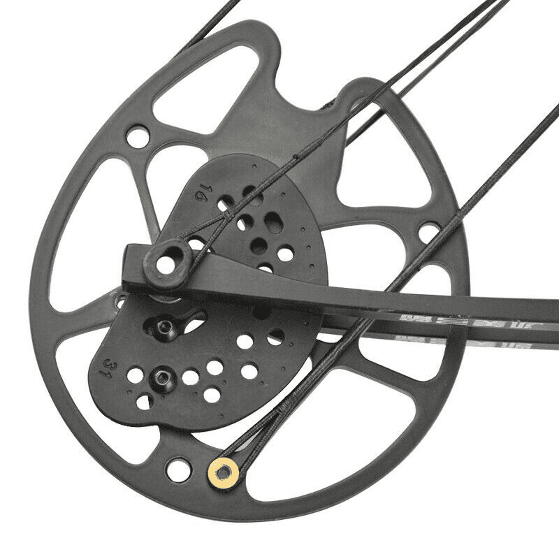 Compound Bow Carbon Arrow Set Field Archery 30-70lbs Target Bow Hunting Shooting