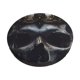 thumbnail image 1 of Disketp Royal Skull With Golden Crown Funda Redonda para Taburete, Funda de Cojín para Silla de Bar Suave y Elástica-14 inch, 1 of 7