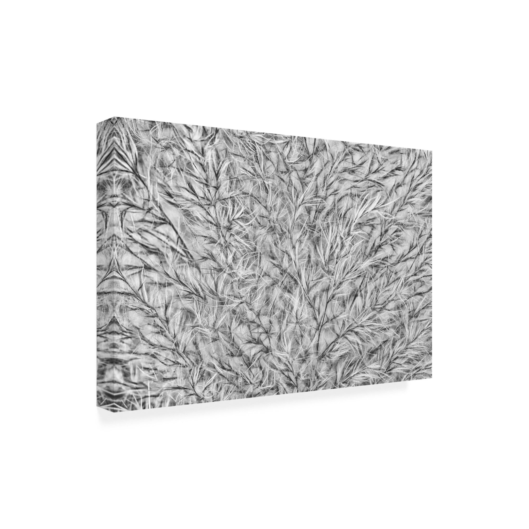 Trademark Fine Art Marie anne Stas Into the Pampas Canvas Wall Art