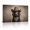 A, variant on XaaKee Art Prints Chessie Drifter 0025 Southwestern Canvas Wall Art Inner Framed 18*12Inch