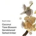 thumbnail image 3 of Body Mist PHLUR Fragancia para piel de coco, cabello y cuerpo, 240 ml, 3 of 7