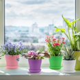 thumbnail image 3 of 8Pack Colorful Small Flowerpot,Seed Starting Pots,QZS Plastic Flower Plant Pots with Drainage and Saucer,Cute Succulent Container,for Indoor Outdoor Home Decor Random Color 5.5", 3 of 7