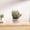 Pink D, variant on Hmgxay Artificial Miniature Flower, Decorative Simulated Potted Plant for Home Décor, Fake Greenery for Photography Props, Maintenance-Free Plastic Floral Accent