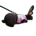 thumbnail image 4 of Miangastore Comfortable Rabbit Harness with Elastic Leash for Small Rabbits 120cm Long Adjustable at Chest and, 4 of 5