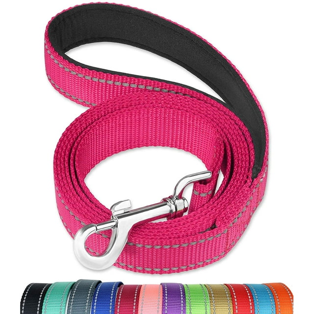 FunTags 4FT Reflective Dog Leash with Soft Padded Handle for Training,Walking Lead for Large & Medium Dog,1 Inch Wide,Hotpink