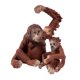 thumbnail image 1 of 2 piezas modelo de Gibbon juguete en miniatura estatuilla decoración para hogar CUTICAT Juguete cognitivo para niños, 1 of 8
