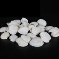 thumbnail image 4 of Concha de mar Timcorr Decoración de pecera Natural 1 paquete, 4 of 8