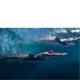 thumbnail image 4 of Antiniebla de Snorkel shamjiam 4 Opcionales Accesorio para Juegos y Ejercicios Subacuáticos Máscara de buceo para adultos 16x6.7x8cm, 4 of 8