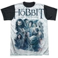 thumbnail image 1 of Hobbit Ready For Battle Unisex Adult Halloween Costume Sublimated T Shirt, 1 of 4