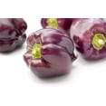 thumbnail image 2 of Sweet Lilac Purple Bell Pepper Seeds for Planting, 50+ Heirloom Seeds Per Packet Non GMO Seeds, Scientific Name Capsicum annuum, Great Home Garden Gift, 2 of 8