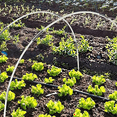 thumbnail image 6 of Garden Greenhouse Hoop Set, Gardening Folding Fiber Pole Set, Arch Greenhouse Planting Tunnel Bracket, 6 of 6