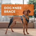 thumbnail image 2 of Dog Collar Knee Brace for Hind Leg for Asian Dog Arthritis L, 2 of 5