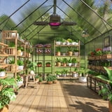 Photo inspiration: Curated Uv Protected Windows For Homes With Greenhouses Gallery View 39