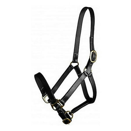 UPC: 0840151629503 | Gatsby Adj Turnout Halter No Snap Cob