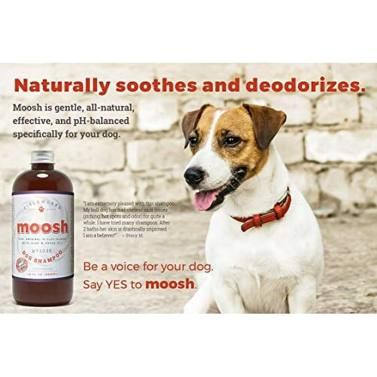 Moosh dog top