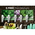 Culinary Herb Seeds For MMF7 Planting Indoors and Outdoors Packets