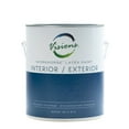 Visions Workhorse Interior/ Exterior Paint 1 Gallon Latex Paint