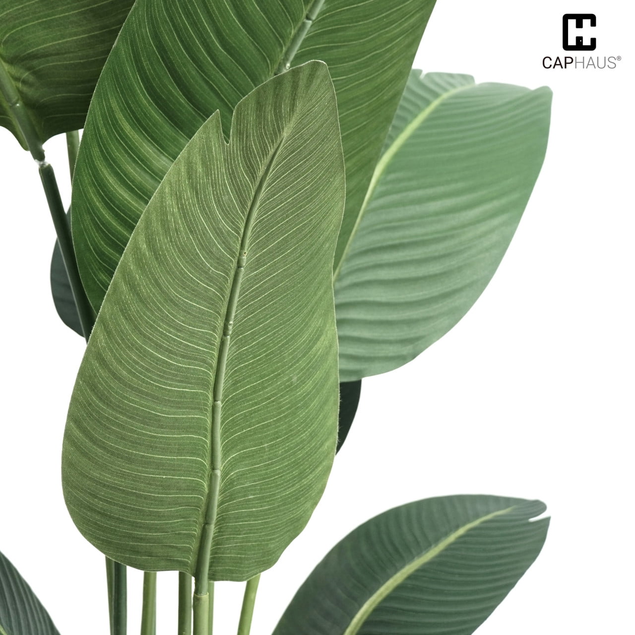 CAPHAUS Artificial Bird of Paradise, Fake Palm Tree Potted Plant, Faux Banana Leaf Tree Plant in Pot with Dried Moss for Office, Indoor, Outdoor, 4 Feet, 48 Inch with 8 Trunks