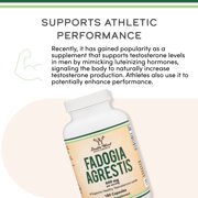 Fadogia Agrestis - 180 capsules, 600 mg per serving