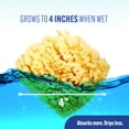 thumbnail image 4 of Baño Sea Sponge Baby Buddy de color amarillo natural para recién nacidos, paquete de 1 unidad, 4 of 6