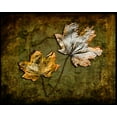 thumbnail image 2 of LightBoxJournal 32x26 Gold Ornate Wood Framed with Double Matting Museum Art Print Titled - Metallic Leaf 2, 2 of 4