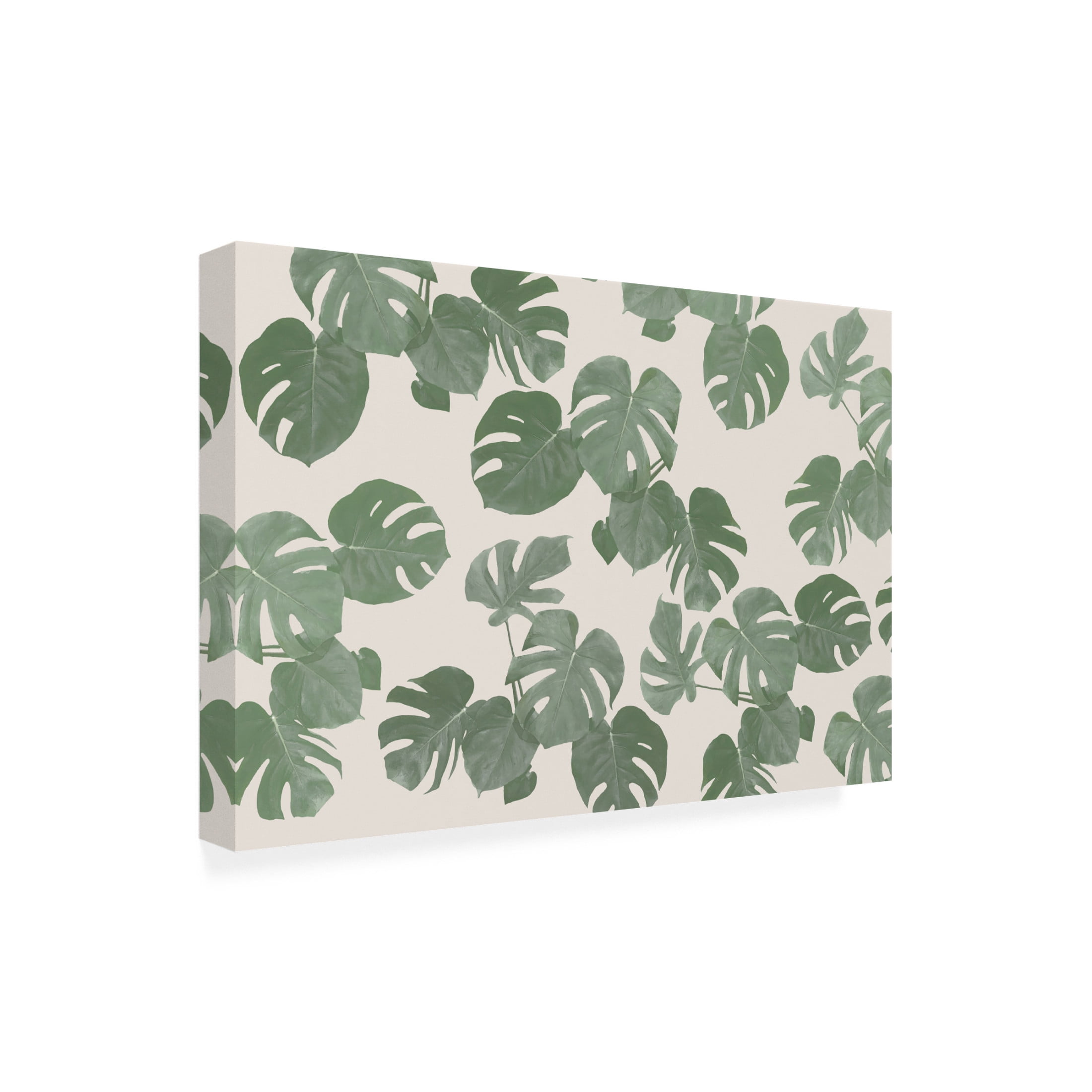 Trademark Fine Art Pictufy Studio II Monstera Leaves Canvas Wall Art