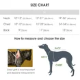 thumbnail image 4 of Chaleco Salvavidas Para Perro Grande Mascotas Seguridad, 4 of 8