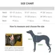 thumbnail image 4 of Chaleco Salvavidas Para Perro Grande Mascotas Seguridad, 4 of 8