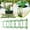 3set, variant on QHUDLV Garden Trellis For Climbing Plants,Tomato Cages For Garden,Green Rustproof Plant Potted For Flowers Cages Support,Tower Frui