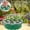 Green, variant on Planting Basket Round Shape, Double-Layer Plastic Mini Nursery Tray, Gardening Tray for Potatoes and Small Vegetables