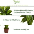 thumbnail image 3 of Nearly Natural 42" Spathiphyllum Artificial Plant (Real Touch), Green, 3 of 4
