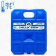 thumbnail image 2 of Arctic Ice Chillin Brew 1.5 lb 6.5" x 4.5" Ice Pack (2 Pack), 2 of 8
