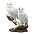 thumbnail image 2 of Ebros Mystical Two White Snowy Owl Couple Perching On Tree Branch Statue 12.25"Tall, 2 of 7