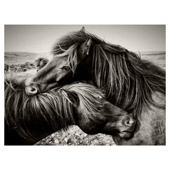 Masterpiece Art Gallery True Love Two Horses by Belle Maison Canvas Photo Art Print 30" x 40"