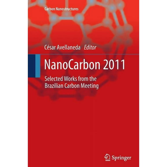 Carbon Nanostructures Nanocarbon 2011: Selected Works from the Brazilian Carbon Meeting, (Paperback)