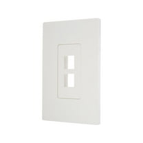 Tripp Lite Single-Gang 2-Port Universal Keystone Wall Plate, Cat5/6/6a, USB, HDMI, DisplayPort, RCA, White (N080-102)
