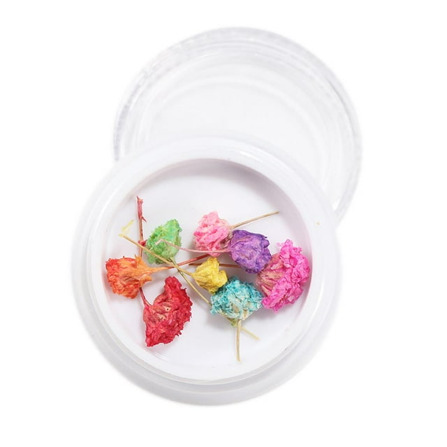 Flores secas Hoja Decoración de uñas 3D Nail Art Calcomanías Gel Polaco Manicura 9 Yuyangstore Flor seca de uñas