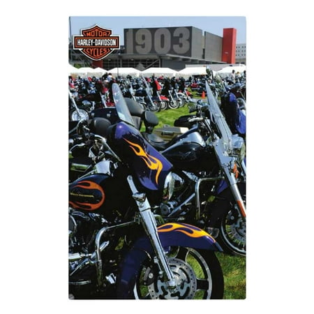 Harley-Davidson® Puzzle Collector's Edition, 1903 Museum ...