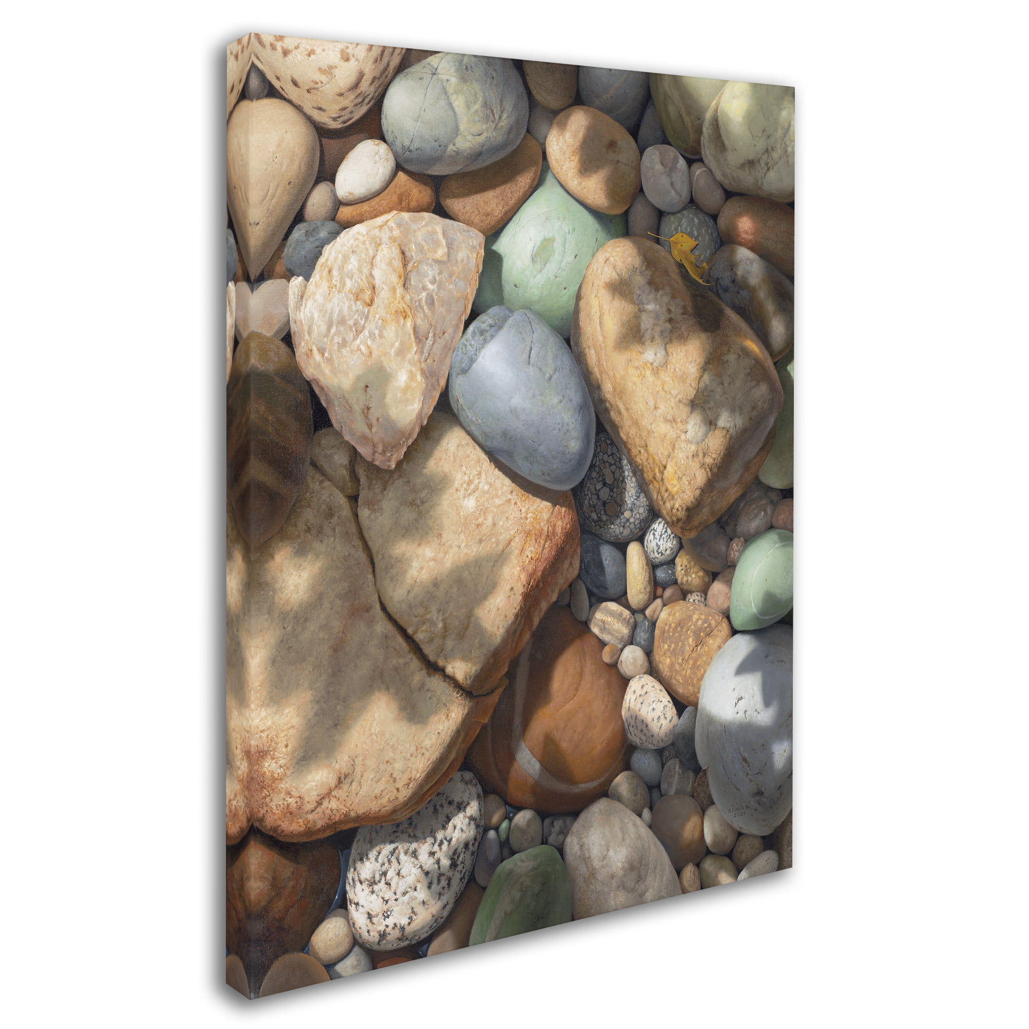 Trademark Fine Art "Above the Shadows Break" Canvas Art by Stephen Stavast