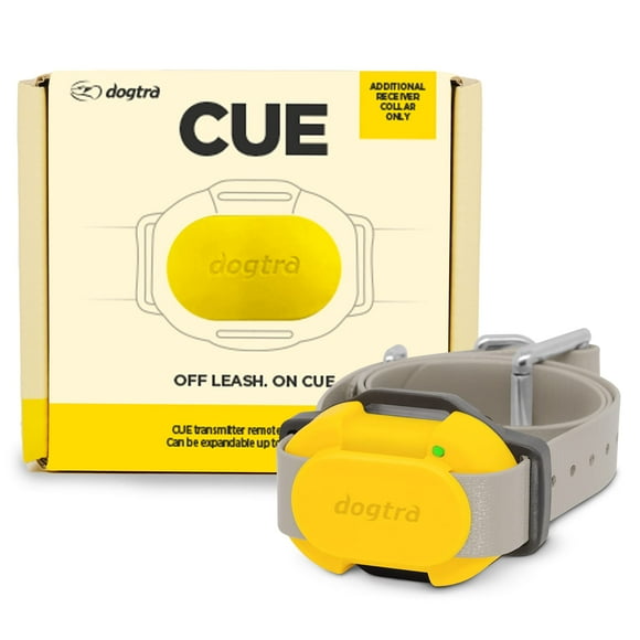 CUE Add On Yellow Ecollar with Safety Level Lock Boost Vibration Waterproof Rechargeable for Small Medium Large Dogs Dog Training Collar by Dogtra