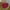Red, variant on Bxaolu Comfort Meditation Floor Pillow, Round Pillows Seating for Adults, Thick Cushion for Living Room