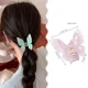 thumbnail image 5 of Pinza para el pelo con forma de mariposa, accesorio para el cabello largo de fibra de acetato francés, colorido, decoración, 1 unidad, 2024, 5 of 5