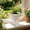 White-2C-clearacne, variant on Dyegold Breathable Orchid Pot 20cm Plastic Planter with Slits and Drainage Tray for Phalaenopsis Indoor Plants Healthy Root Growth