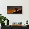 thumbnail image 6 of Epic Art 'Lone Tree in Sunset' by Tom Quartermaine, Acrylic Glass Wall Art, 24"x12", 6 of 8