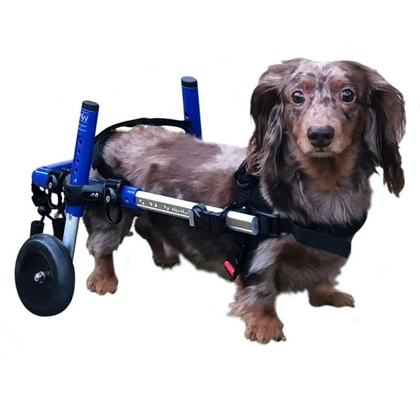 Blue Dachshund Dog Wheelchair for Small Dogs 1125 Pounds