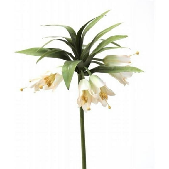 Distinctive Designs DW-1174-GRIV DIY Flower Green Ivory Crown Imperial - Pack of 6