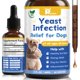thumbnail image 1 of Tratamiento de candidiasis para perros Petrivium Natural 60 ml, 1 of 5