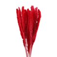 thumbnail image 1 of Advancent 15 Pieces Small Dried Flower Branch Festival Props Home Decoration Bedroom Celebration Photography Wedding Birthday Kits de decoración para fiestas Numero 3, 1 of 6