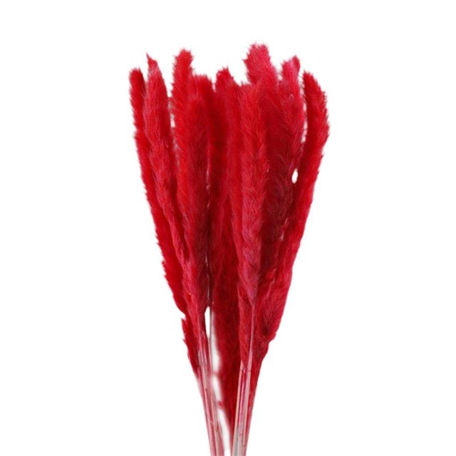 Advancent 15 Pieces Small Dried Flower Branch Festival Props Home Decoration Bedroom Celebration Photography Wedding Birthday Kits de decoración para fiestas Numero 3